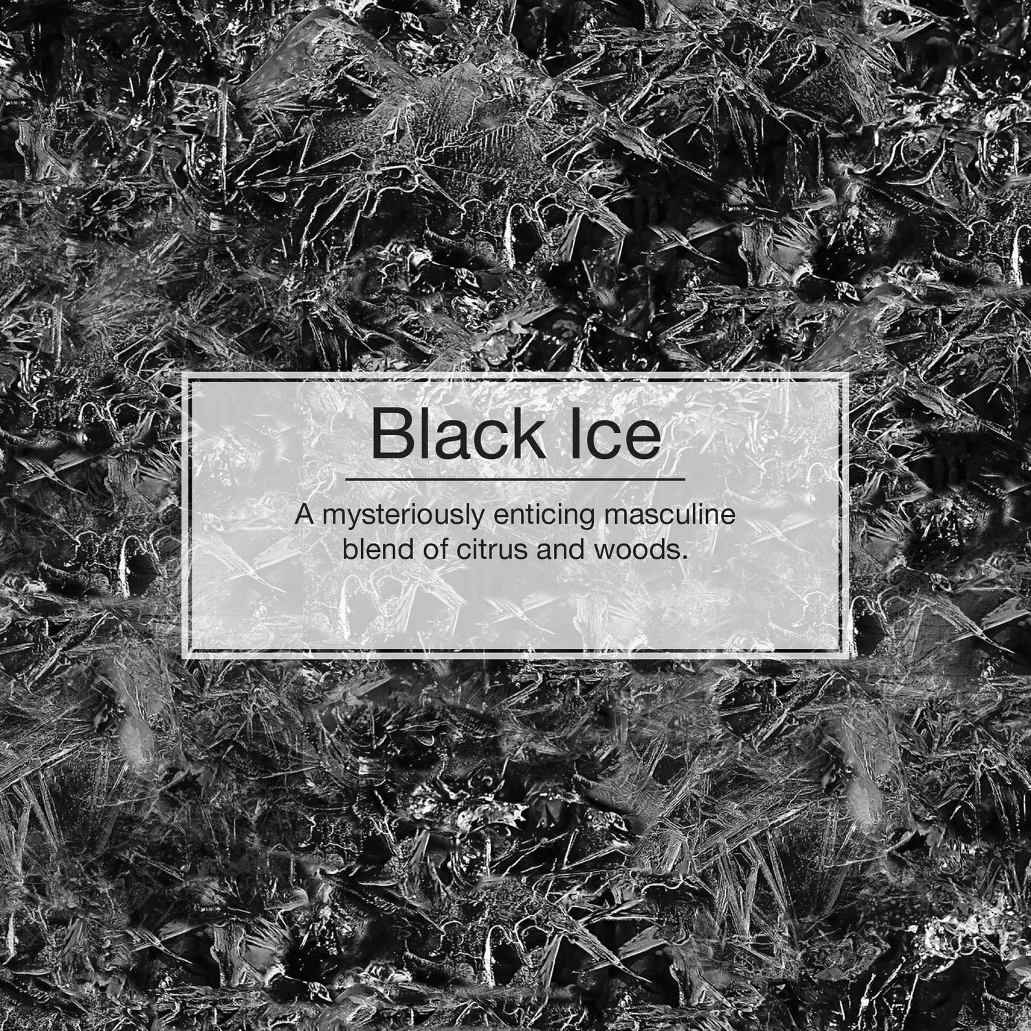 SENT BON SAPIN,BLACK ICE, (2) - Multivéhicules de la Capitale