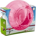 thumbnail image 2 of Ballon d’exercice Kaytee Rainbow d’environ 7 po pour hamster, 2 of 8