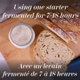 thumbnail image 2 of ACE Bakery Ciabatta Piccola Artisan Rolls, 2 of 6