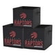Bacs de rangement pliables des Toronto Raptors de la LNH (ensemble de 3) – image 1 sur 5