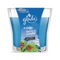 thumbnail image 1 of Chandelle Depassez les Limites de Glade, 1 of 1