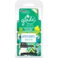 thumbnail image 1 of Glade Bamboo Garden Spring Wax Melts Refills, 1 of 1