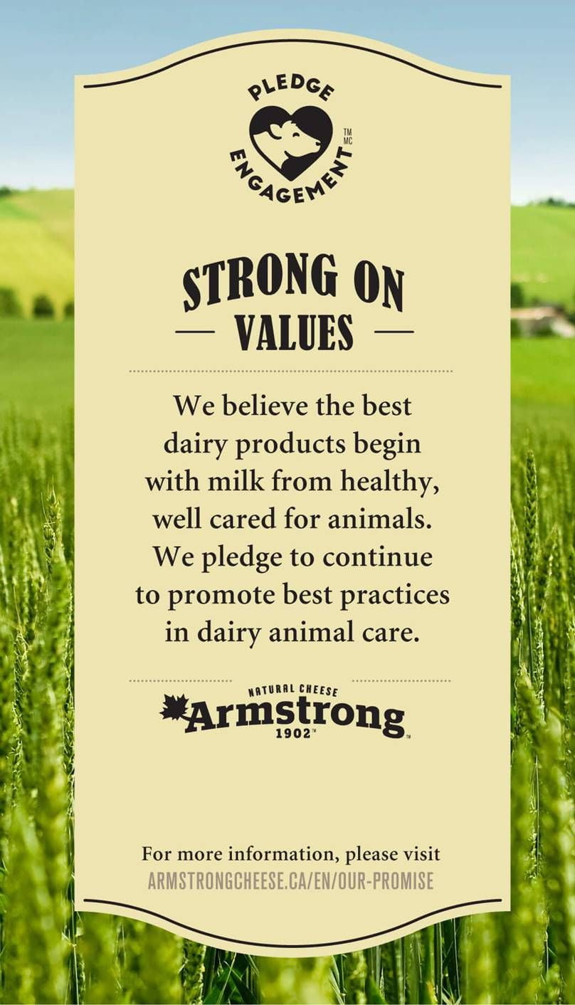 Armstrong Bâtonnets de fromage cheddar à saveur de fumée 210 g (10 bâtonnets)