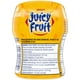 Gomme à mâcher Juicy Fruit Originale, sans sucre, bouteille, 60 morceaux 1&nbsp;bouteille, 60&nbsp;morceaux – image 3 sur 10