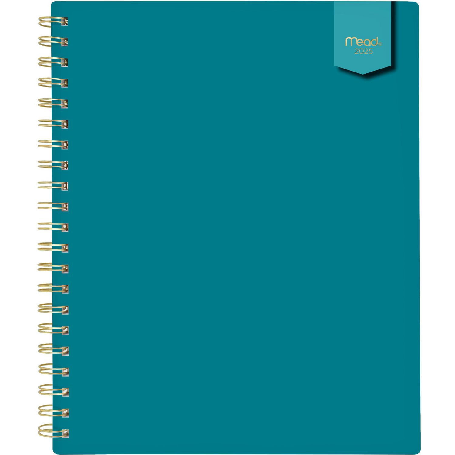 Mead 15M Teal Large Weekly/Monthly Planner 25