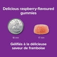 thumbnail image 4 of Webber Naturals Magnesium Gummies 75mg Raspberry, 4 of 8