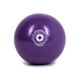 STOTT PILATES Ballon Tonique (Violet) – image 1 sur 2
