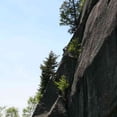 thumbnail image 2 of Rock Climbing Experience - 286 Brooks, Sherbrooke, QC - www.vertige-escalade.com, 2 of 5