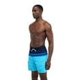 thumbnail image 2 of Speedo Men's Colour Block Volley 18", 2 of 7