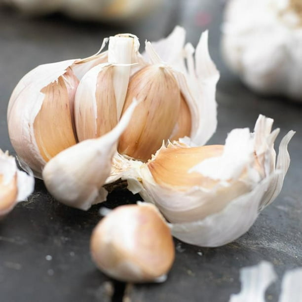 Onions Garlic (3 Bulbs) Walmart.ca