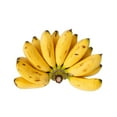 thumbnail image 1 of Banana Manzano, 1 Bunch, 0.40 - 1.00 KG, 1 of 1