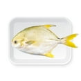 thumbnail image 1 of Yellow Pomfret, 1 Tray, 0.40 - 1.50 KG, 1 of 1