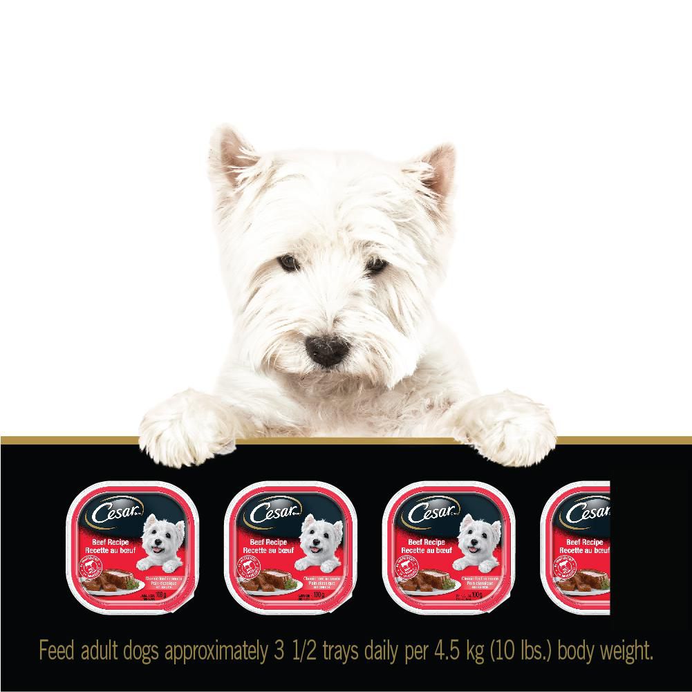 Cesar Classic Loaf in Sauce Beef Recipe Soft Wet Dog Food, 100g