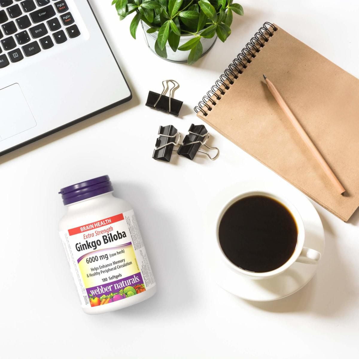 Webber Naturals Ginkgo Biloba  Extra Strength  6000 mg (raw herb)