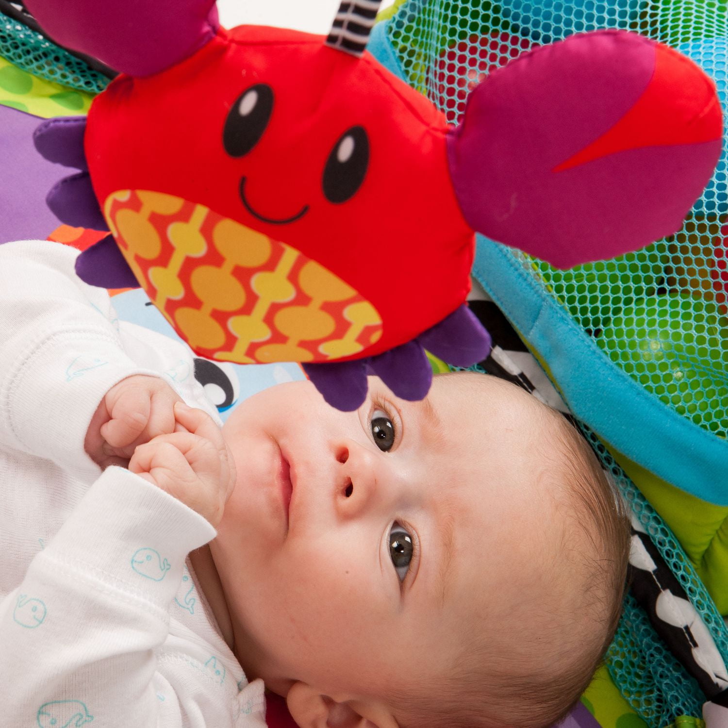 infantino grow with me ball pit canada