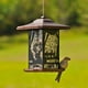 Mangeoire d'oiseaux Wilderness Lantern de Perky-Pet – image 3 sur 4