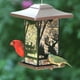 Mangeoire d'oiseaux Wilderness Lantern de Perky-Pet – image 4 sur 4