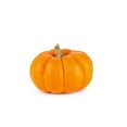 thumbnail image 1 of Gourdes Citrouille Mini, Vendues individuellement, 0.40 - 1.30 KG, 1 of 1
