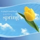 Trousse de départ pour assainisseur d’air Happy Spring NOTABLES de Febreze – image 5 sur 7