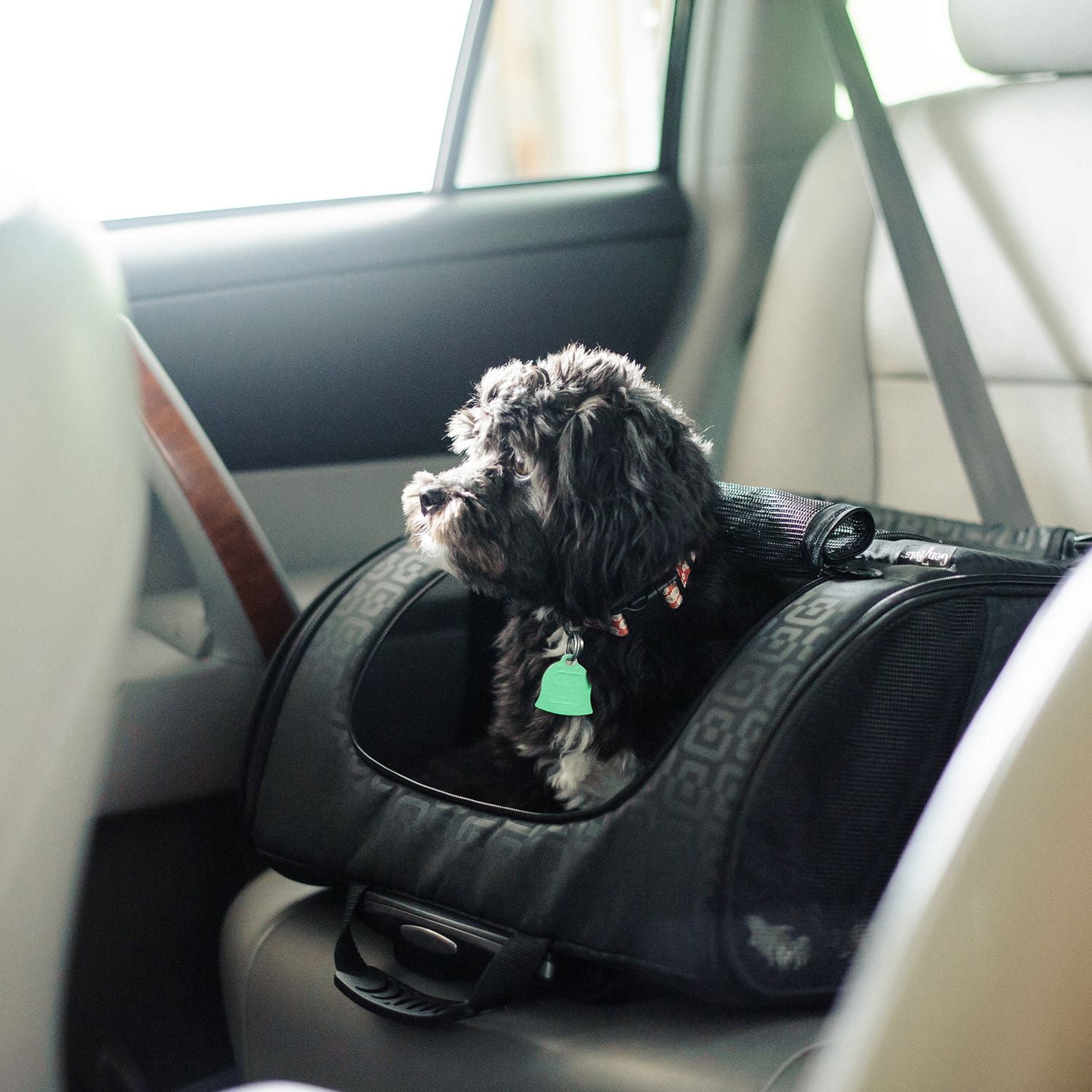 Gen7Pets RC1000 Roller Carrier Pet Carrier Black Geometric