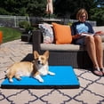 thumbnail image 4 of Coussin Cool-Air Pad de Gen7Pets, très grand, 4 of 6