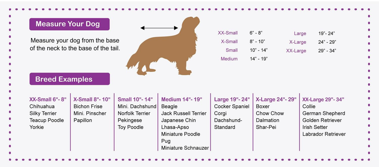 SPOT X-Small Sporty All Weather Reflective Dog Jacket
