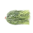 thumbnail image 1 of Gai-lan, 1 sac, 0.50 - 1.00 KG, 1 of 2