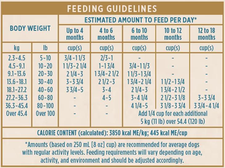 Actr1um holistic 2025 puppy dog food