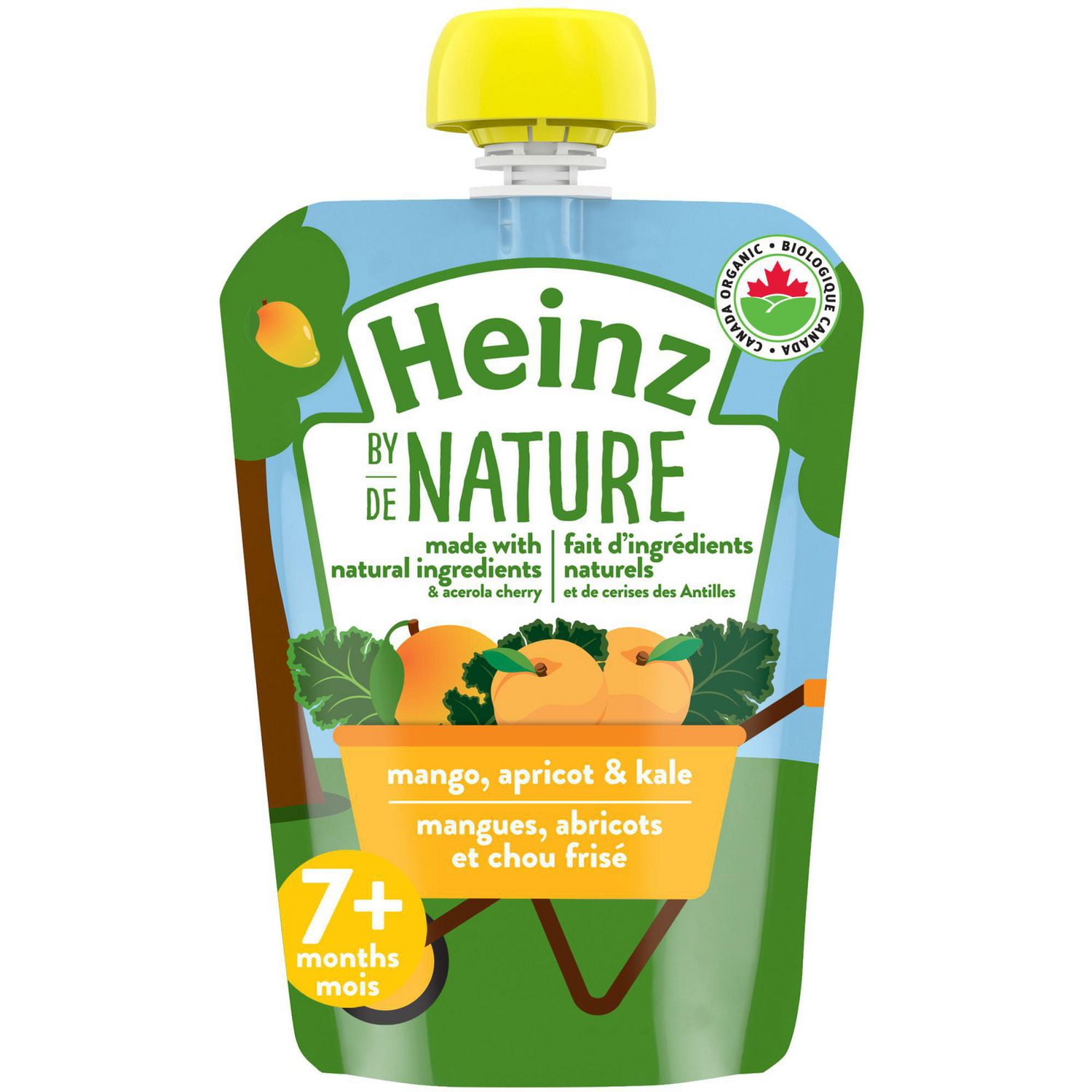 Heinz by Nature Baby Food Organic Mango, Apricot & Kale Purée