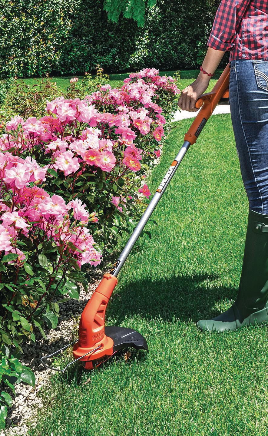 Worx lawn edger cordless hot sale