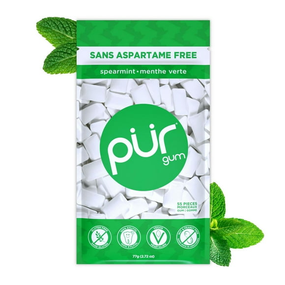 PUR Gum, Aspartame Free, Sugar Free & 100% Xylitol, Spearmint Chewing Gum, 55 Pieces, Pack of 1