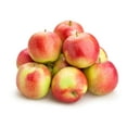 thumbnail image 1 of Autumn Glory Apple, 1 of 1