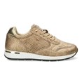 thumbnail image 1 of MEXX Women's Goldie Sneaker Gold, 1 of 6