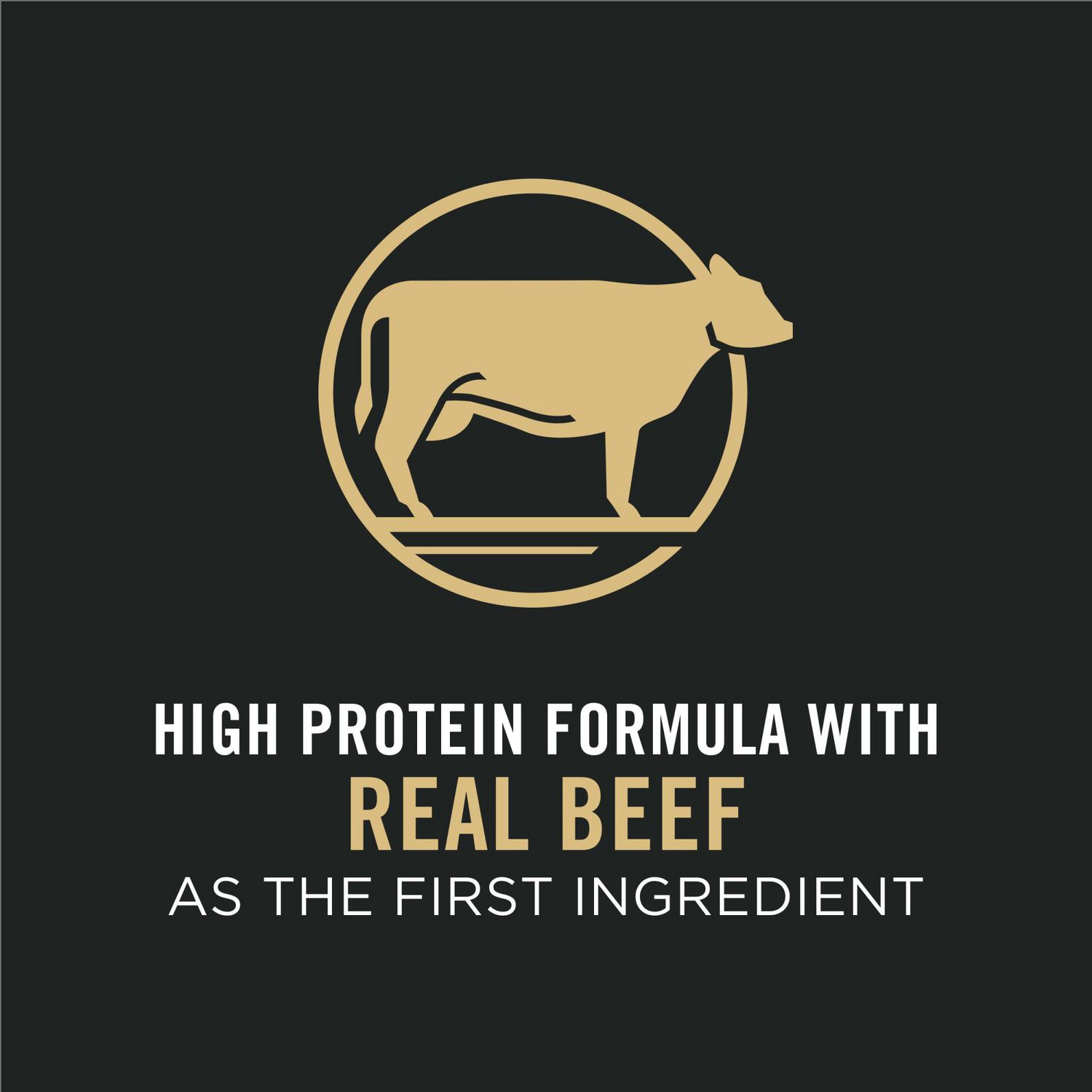 Beef pro store dog food website