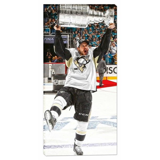 Cadre de la toile 14 x 28 po. des Penguins de Pittsburgh Coupe Stanley 2016 Sidney Crosby de Frameworth Sports