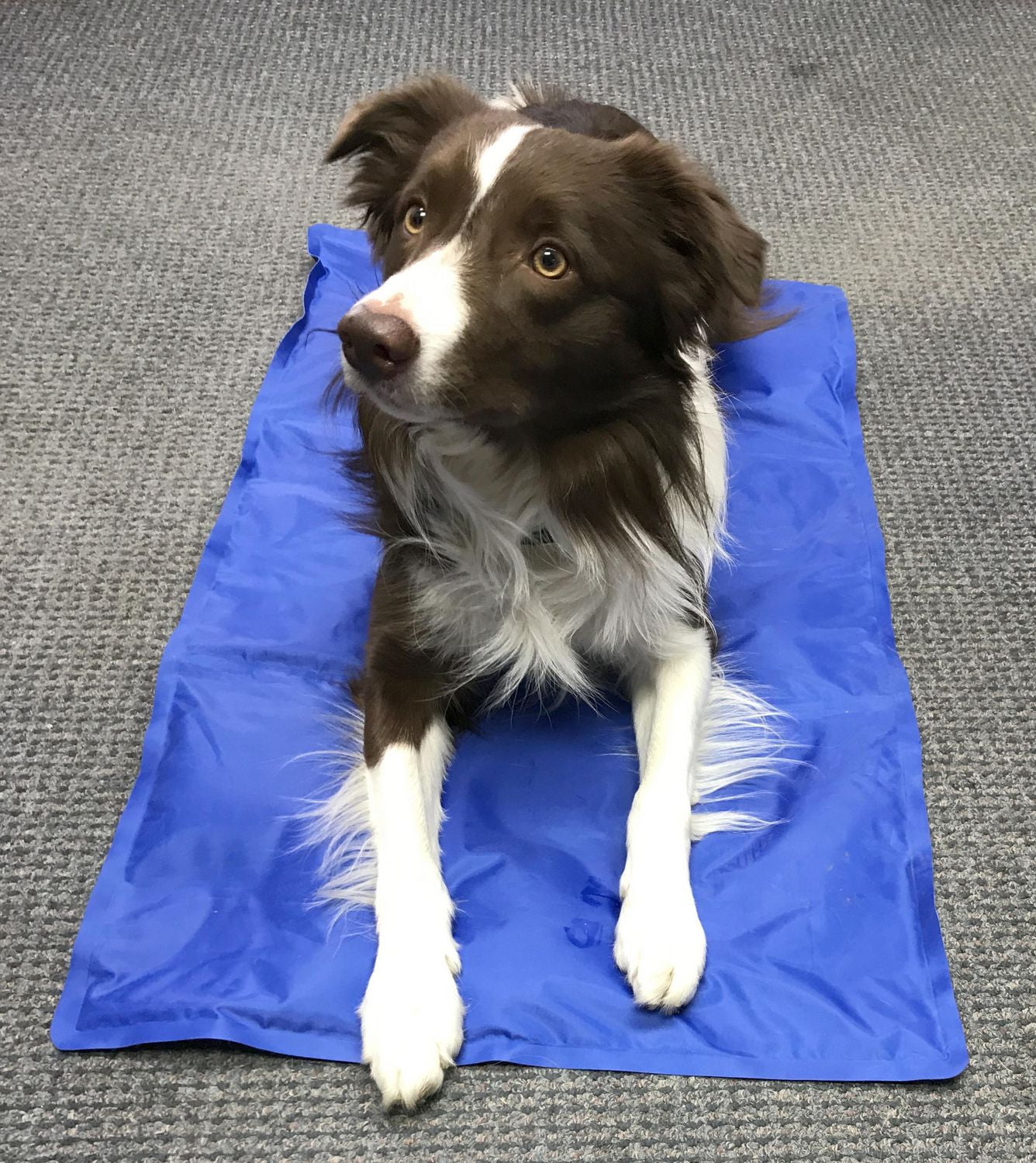 COOL RUNNERS GEL COOLING MAT/PAD Walmart Canada