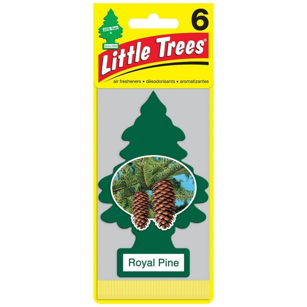 Assainisseur d'air LITTLE TREES Royal Pine 6-Pack Paq. de 6