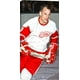 Canvas Howe Red Wings – image 1 sur 1