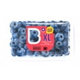 thumbnail image 1 of Blueberries XL, 277 g, 1 of 1