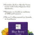thumbnail image 3 of New Nordic Blue Berry Strong - 60 comprimés, 3 of 7