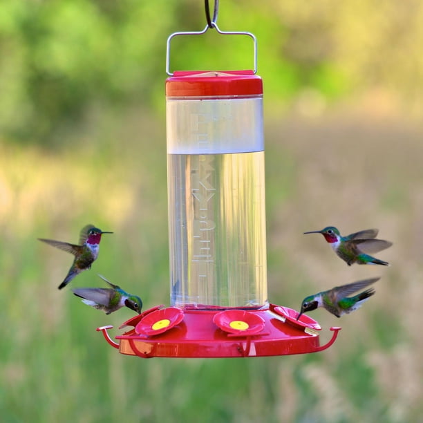 First Nature 32-Ounce Hummingbird Feeder 