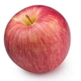 thumbnail image 2 of Pomme Fuji, 2 of 3