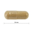 thumbnail image 4 of Jamieson Ashwagandha Capsules, 6000 mg, Vegetarian, 60 Count, 4 of 8
