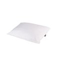 thumbnail image 1 of OBUSFORME Foam Pillow, 1 of 1