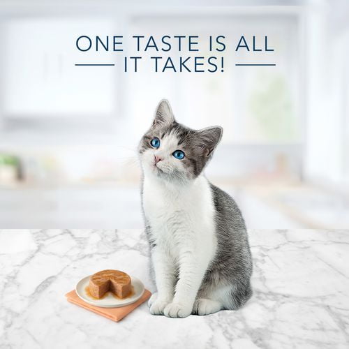 Nourriture pour chats BLUE Tastefuls