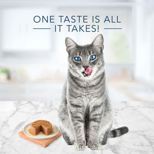 Blue Buffalo Tastefuls Turkey Chicken and Ocean Fish Tuna Pate Adult Wet Natural Cat Food Variety Pack 12x85g Walmart