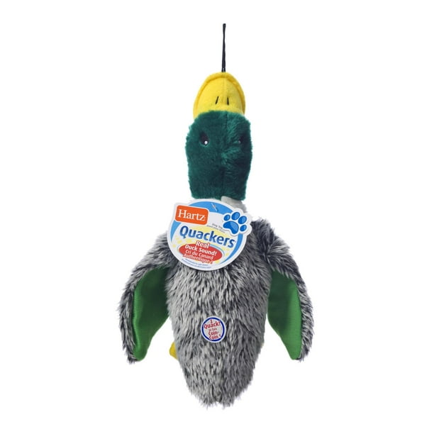 Hartz NC Quackers Dog Toy, Quackers plush dog toy Walmart.ca