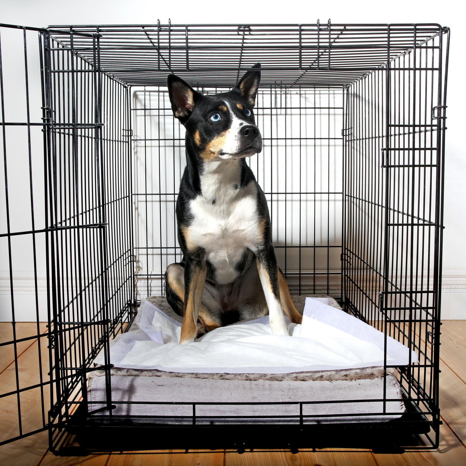 Kennel best sale pads walmart