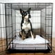 Coussins pour chien - Hartz Home Protection Training Pads™ – image 5 sur 5