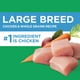 Nourriture sèche pour chiens adultes de grande race IAMS Proactive Health Recette avec poulet et grains entiers 6,8-18,14 kg – image 4 sur 7